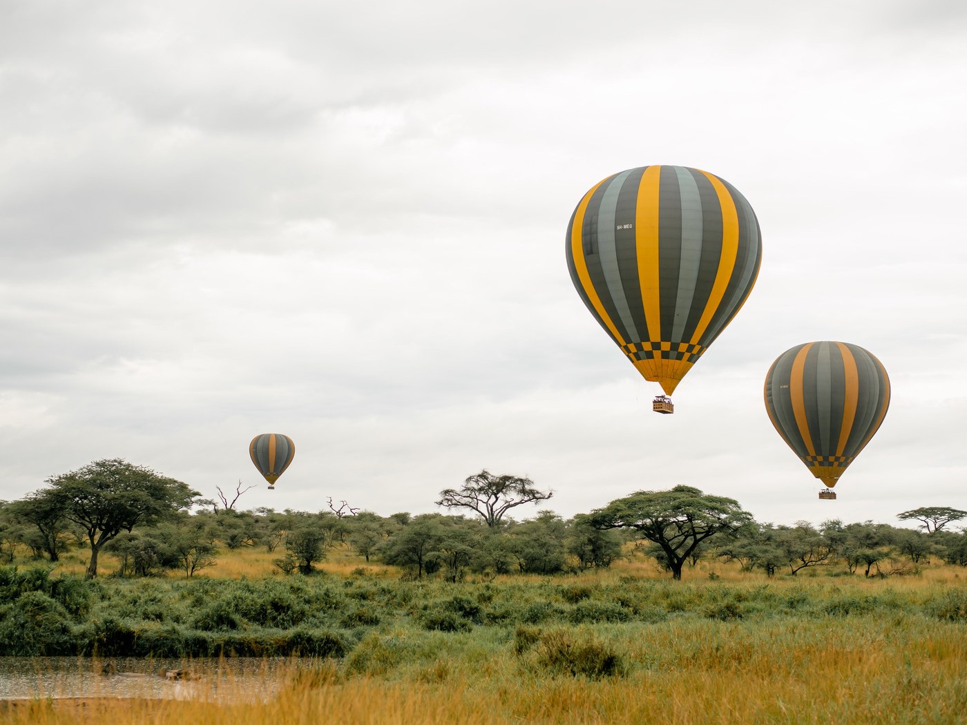 Hot air balloons over the plains