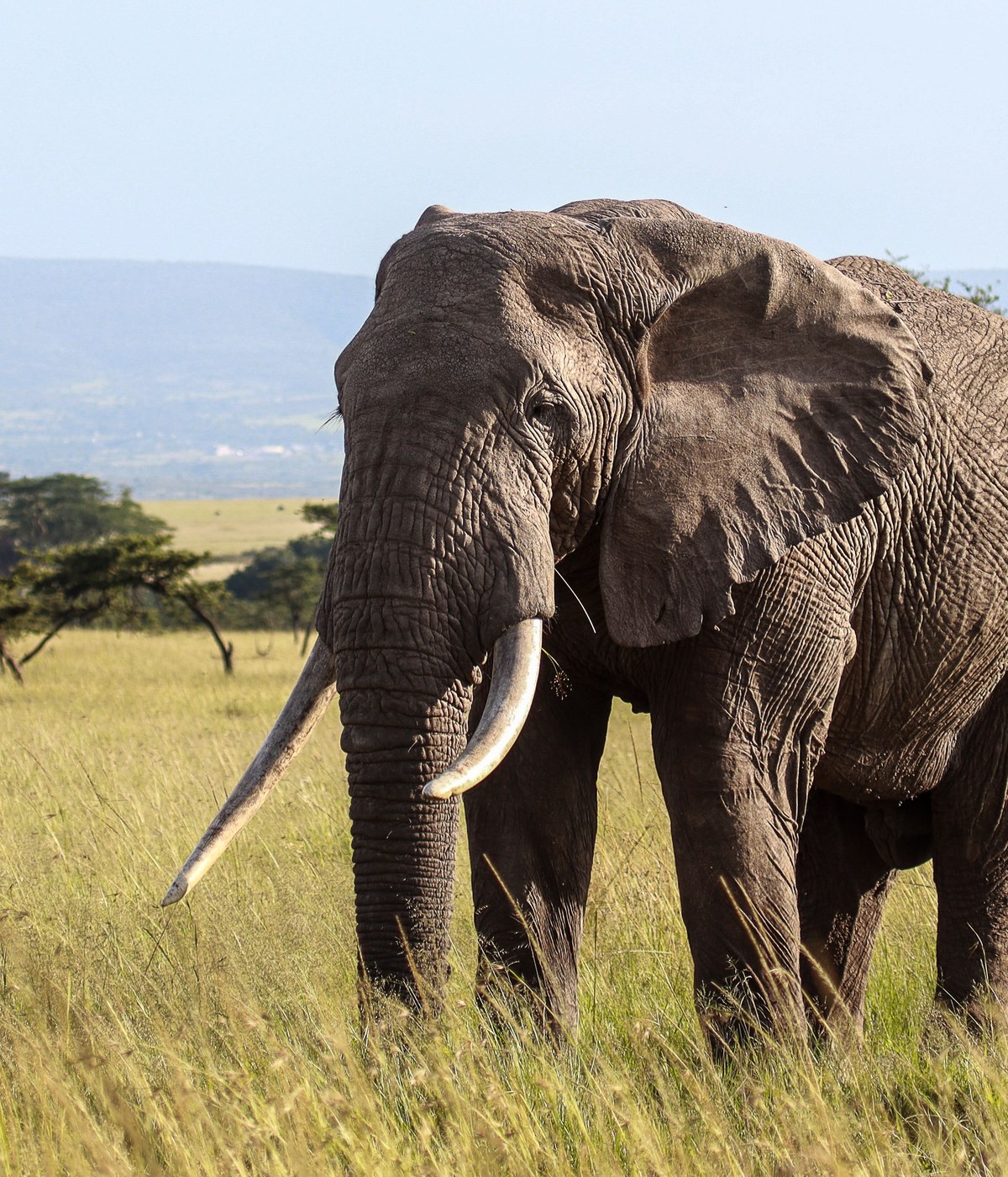 Serengeti National Park